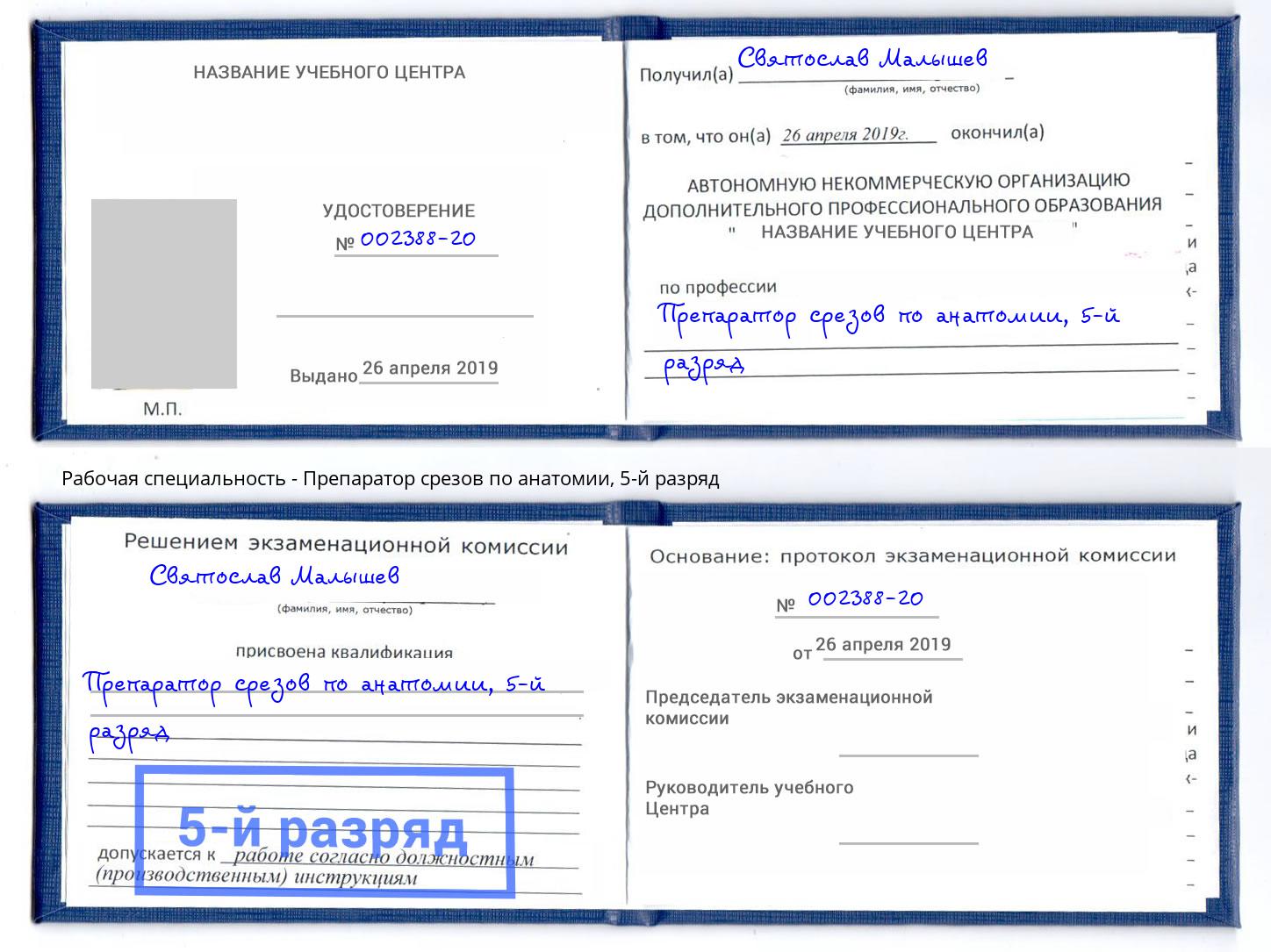 корочка 5-й разряд Препаратор срезов по анатомии Волгоград