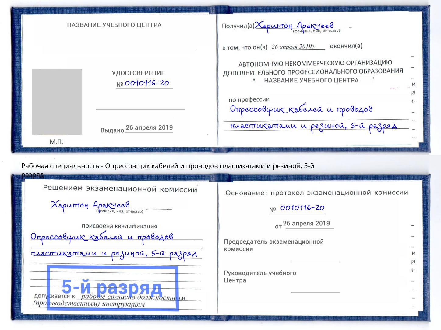 корочка 5-й разряд Опрессовщик кабелей и проводов пластикатами и резиной Волгоград